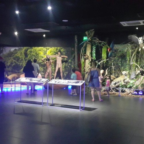 Museo de la Tierra Guarani foto