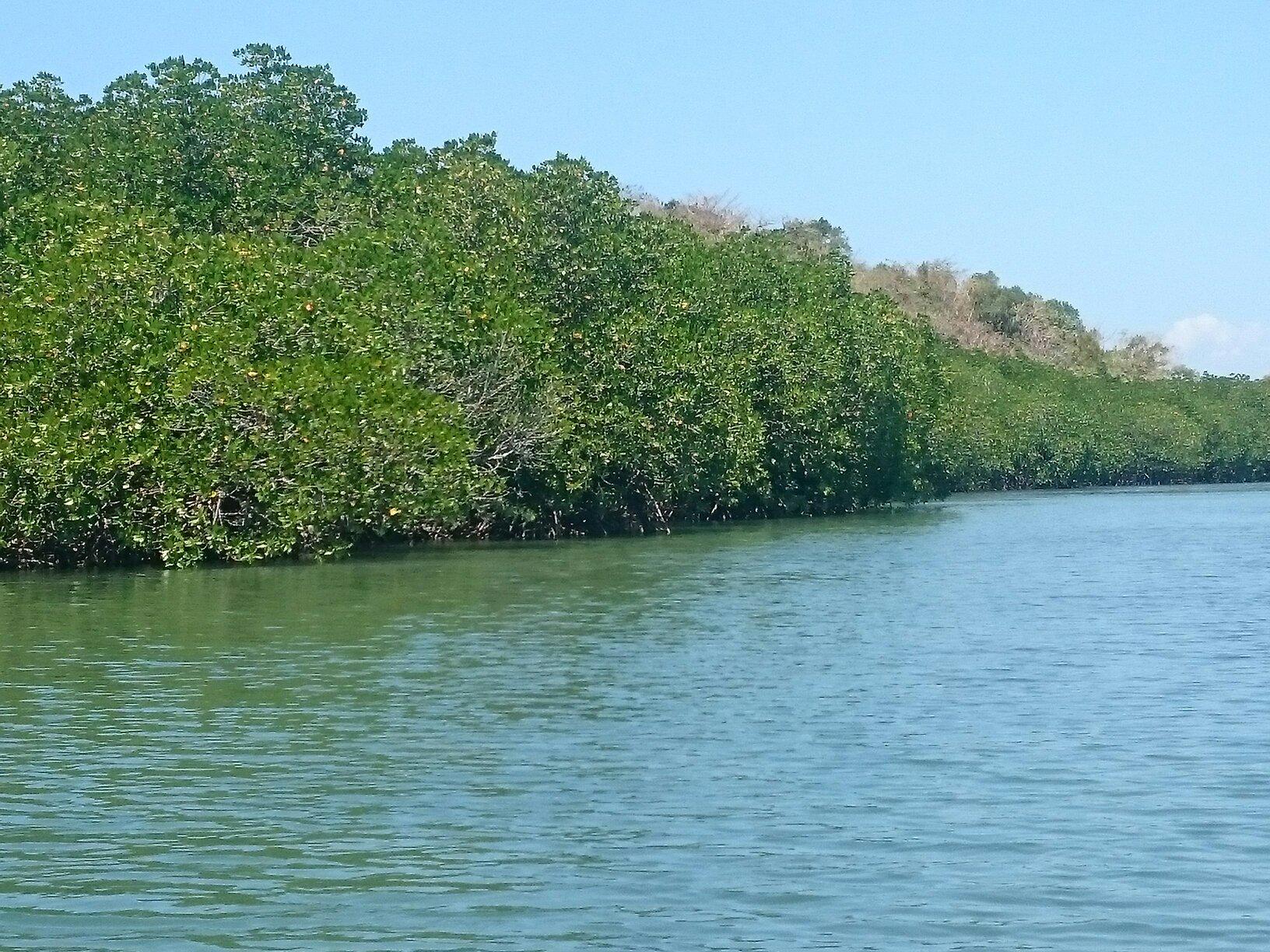 2024年 Taklong Island National Marine Reserve - 行く前に！見どころ