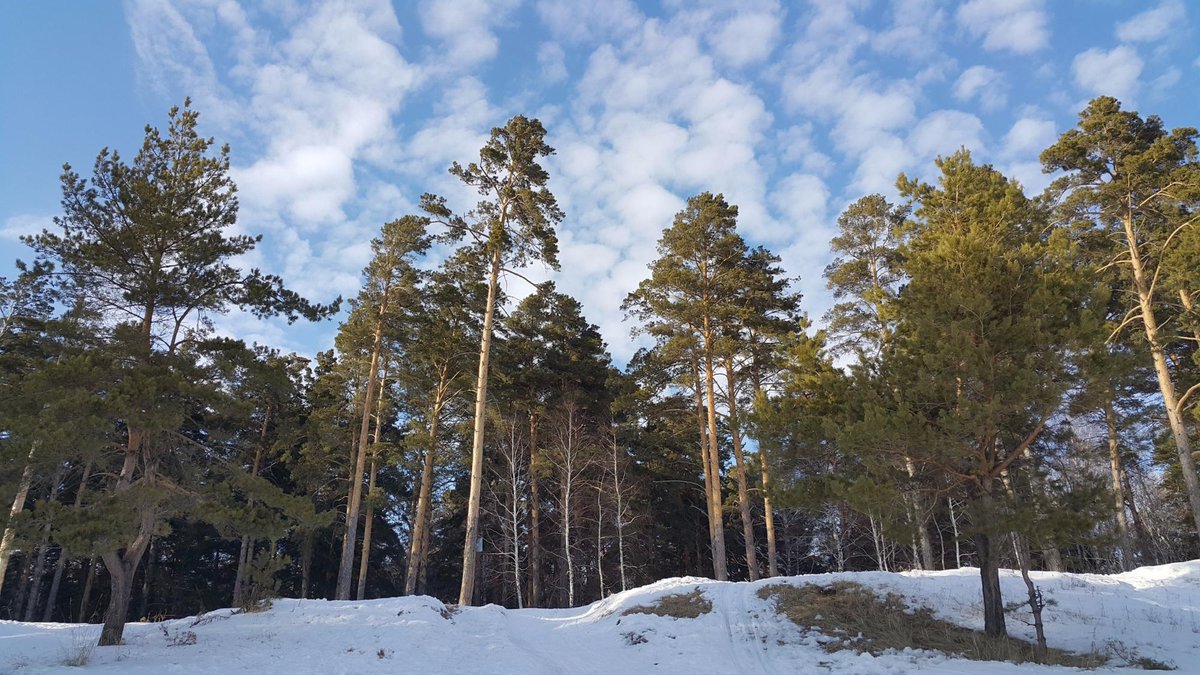 Золотой берег новосибирск