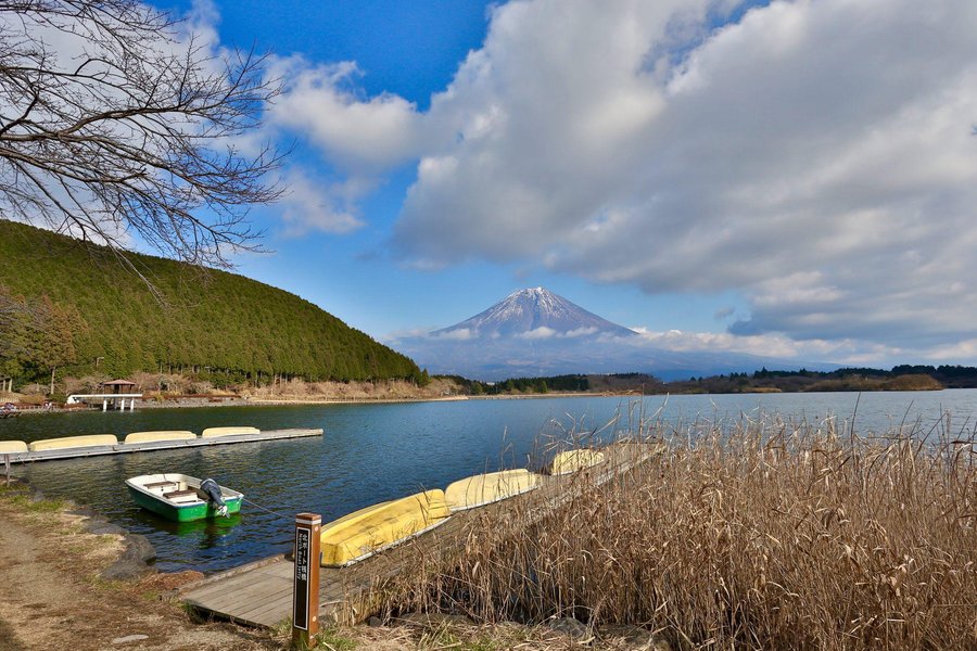 富士山静養園 21年最新の料金比較 口コミ 宿泊予約 トリップアドバイザー