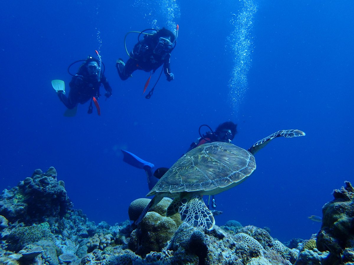 Diving Supplier Smile in Okinawa - All You Need to Know BEFORE You Go ...