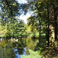 Plan d'eau