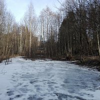 Пока еще все покрыто настом