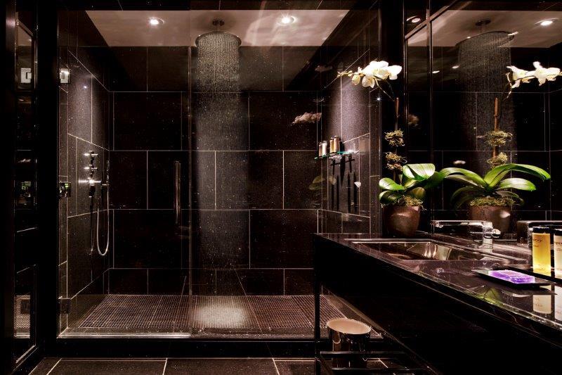 Hotel photo 63 of The Chatwal A Luxury Collection Hotel, New York City.