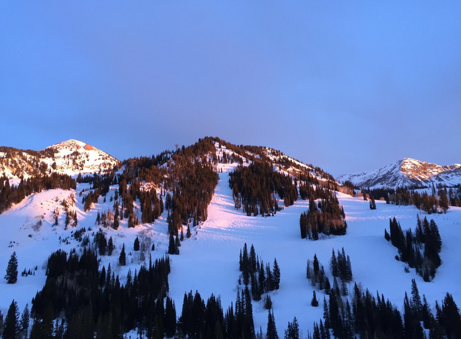 The Inn at Snowbird by null