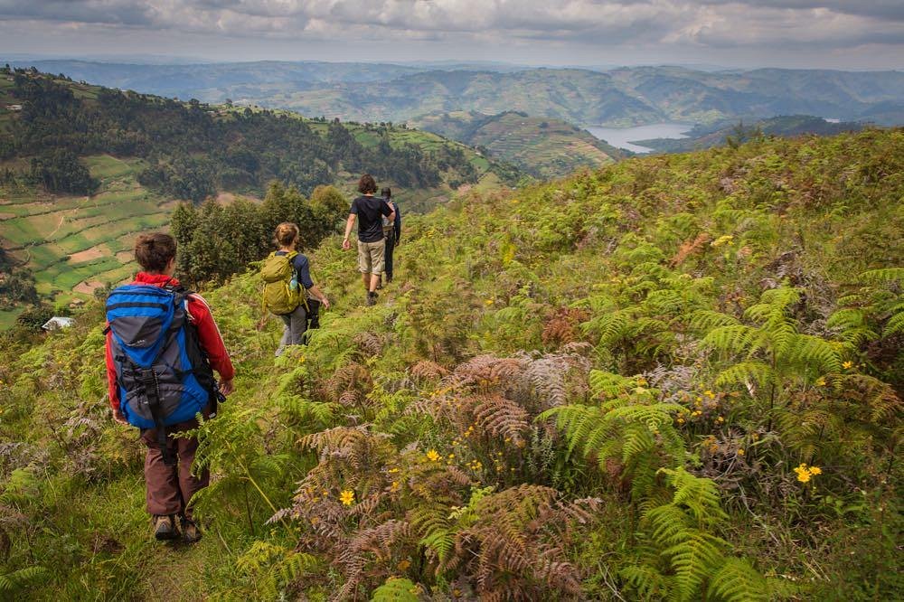 gorilla highlands tours