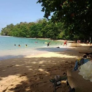 Sección de playa