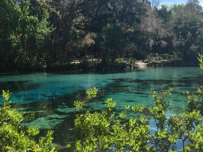 Salt Springs, FL 2023: Best Places to Visit - Tripadvisor