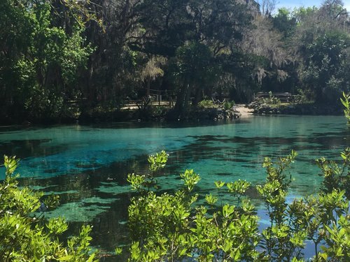 THE 5 BEST Things to Do in Salt Springs - 2024 (with Photos) - Tripadvisor