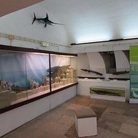 Museu Oceanográfico