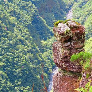 Apiário de Cambará do Sul oferece Passeio do Mel - Celso Sgorlla