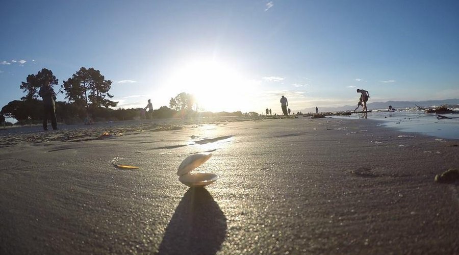 Nelson Beach - praia em frente ao hotel