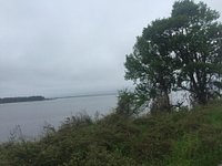 Exploring Santee National Wildlife Refuge in South Carolina - Au-delà du  paysage