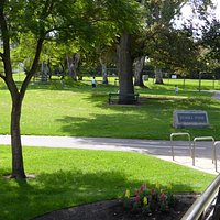 Rymill Park1