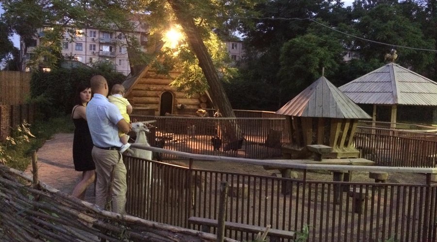 Загон с домашними козами. 