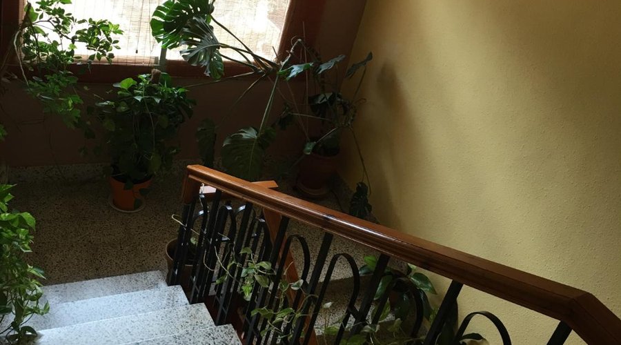 Escaleras acceso