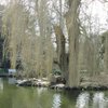 Things To Do in Elsham Hall Gardens and Country Park, Restaurants in Elsham Hall Gardens and Country Park