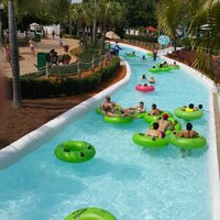 Things to Do near Busch Gardens Tampa Fl: Ultimate Guide
