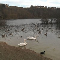 Lake at bottom of gorge