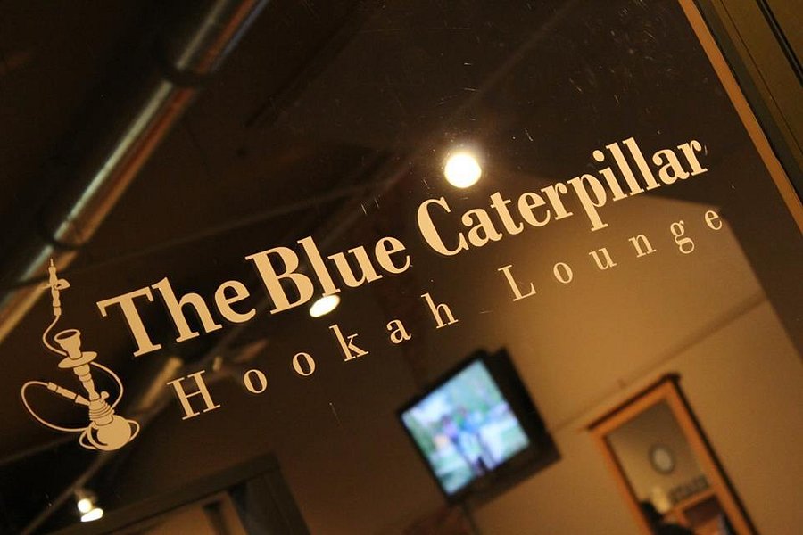 The Blue Caterpillar Hookah Lounge image