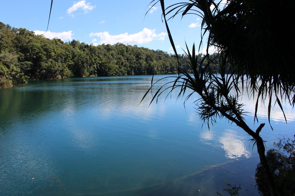 Lake Eacham Crater Lakes National Park - Lo que se debe saber antes de ...