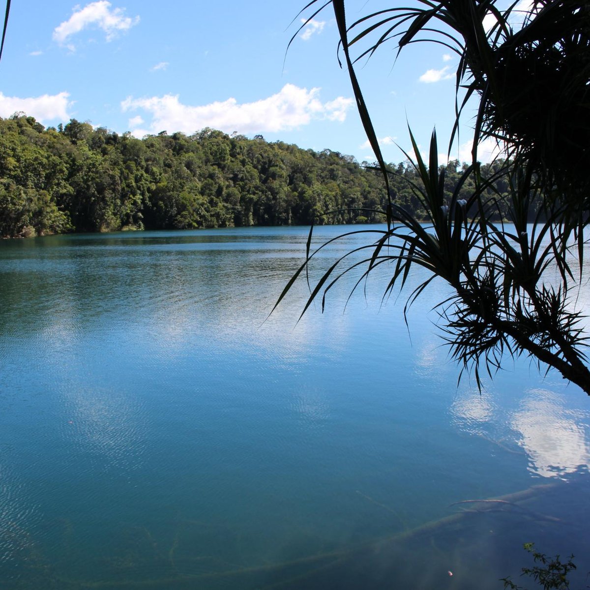 Lake Eacham Crater Lakes National Park - All You Need to Know BEFORE ...