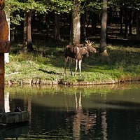 Lasse am Elchsee