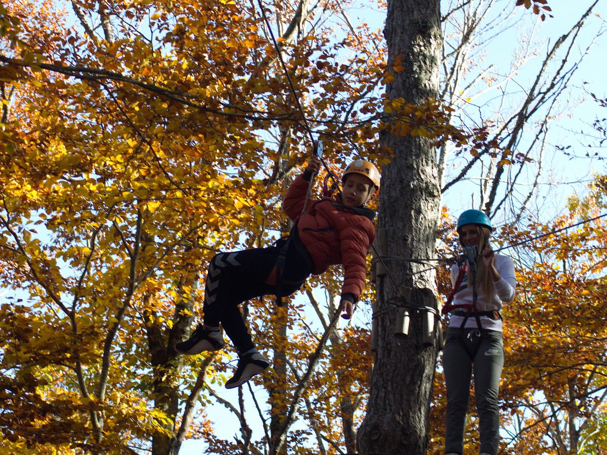 ADVENTURE PARK (Cetinje) - 2023 What to Know BEFORE You Go