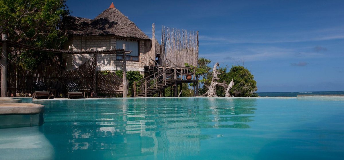 The Cove Treehouses Bar or Lounge: Pictures & Reviews - Tripadvisor