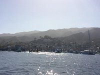 Catalina Coastal Tours & Fishing (Avalon) - All You Need to Know BEFORE