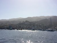 Catalina Coastal Tours & Fishing (Avalon) - All You Need to Know BEFORE