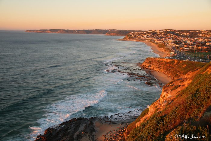 Some of the coastline