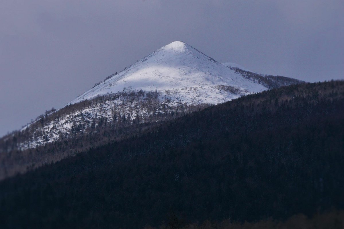 ТУМНИНСКИЙ РОДНИК (п. Тумнин) - отзывы и фото - Tripadvisor