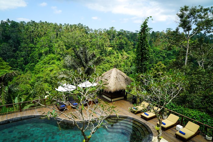 Nandini Jungle By Hanging Gardens Pool Pictures & Reviews - Tripadvisor