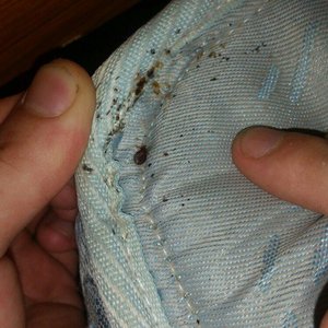 Worst hotel in town unless you don't mind sleeping with bed bugs and they expect you to remove t