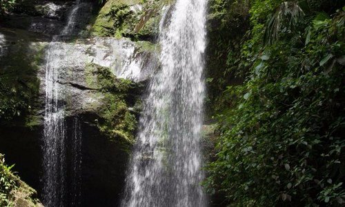 Hone Creek 2022: Best of Hone Creek, Costa Rica Tourism - Tripadvisor