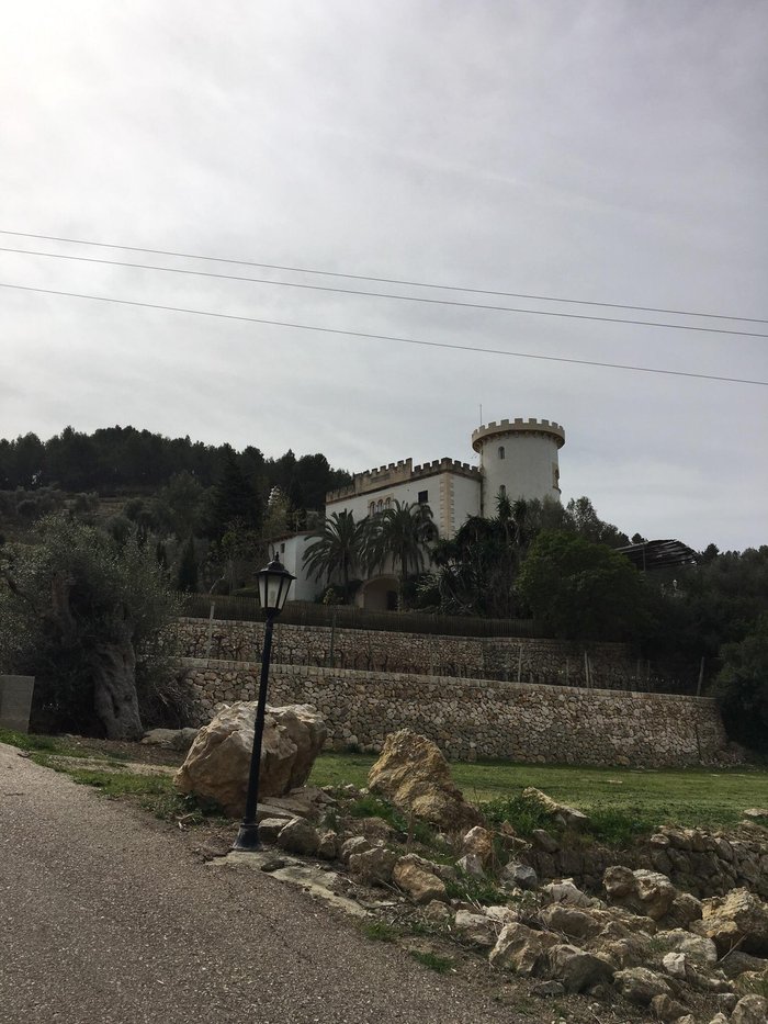Imagen 2 de Bodega Castell Miquel
