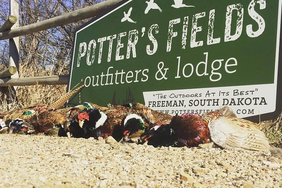 Potter's Fields Outfitters & Lodge image