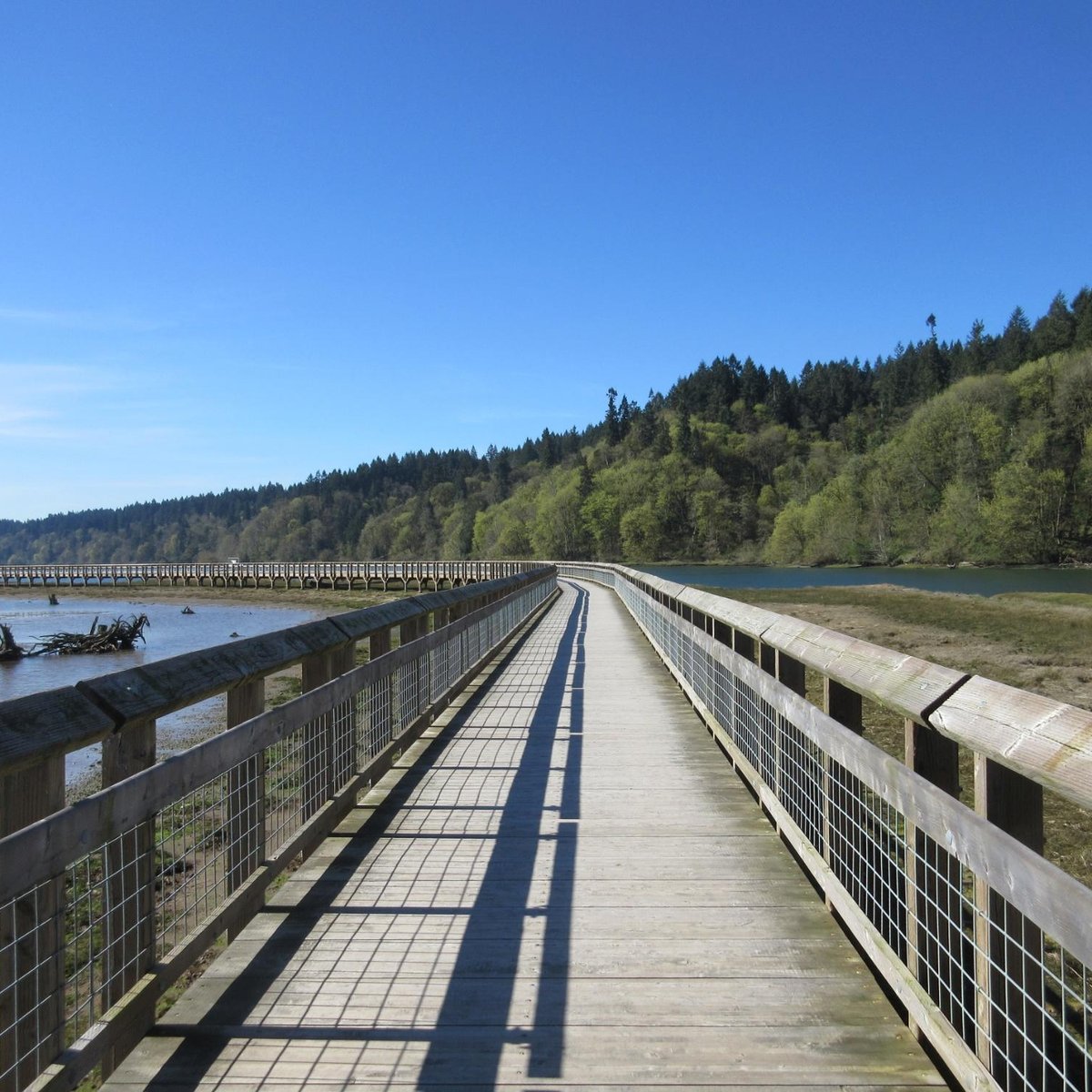 BILLY FRANK JR. NISQUALLY NATIONAL WILDLIFE REFUGE (2024) All You Need ...