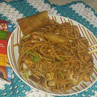 yakisoba com rolinho primavera