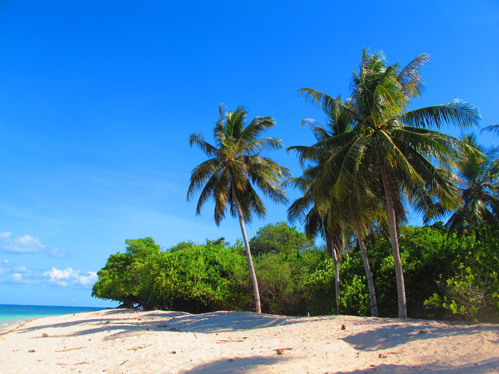 Toerisme In Sandakan 2023 - Beoordelingen - Tripadvisor