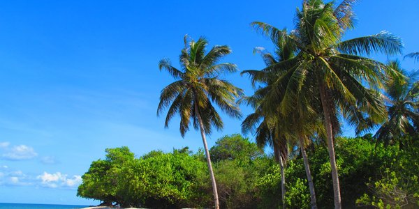 Sandakan one avenue hotel One Avenue