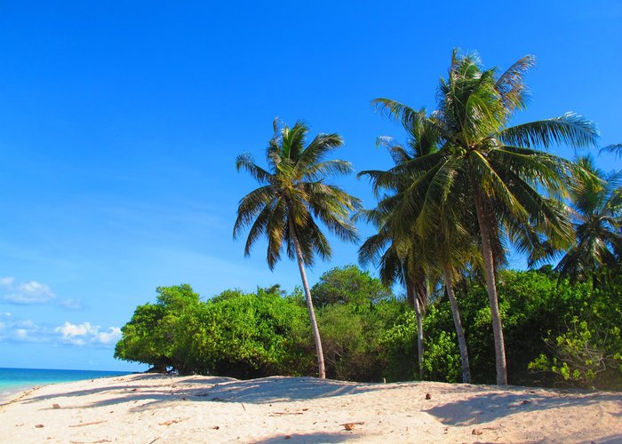 beach