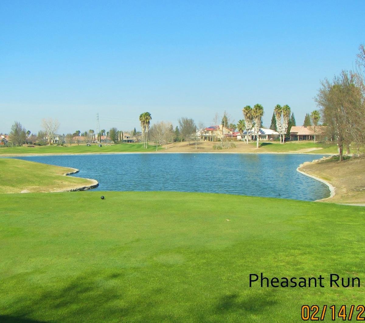 PHEASANT RUN GOLF CLUB (Chowchilla) Tutto quello che c'è da sapere