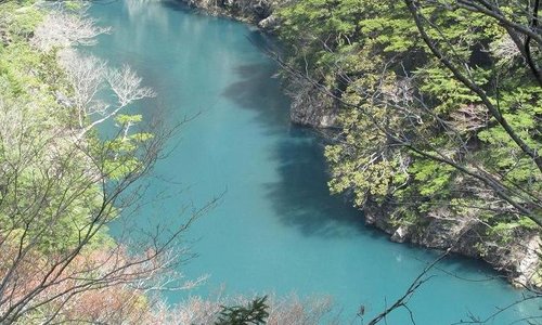 寸又峡も色が濃い