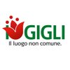 Direzione_I_GIGLI