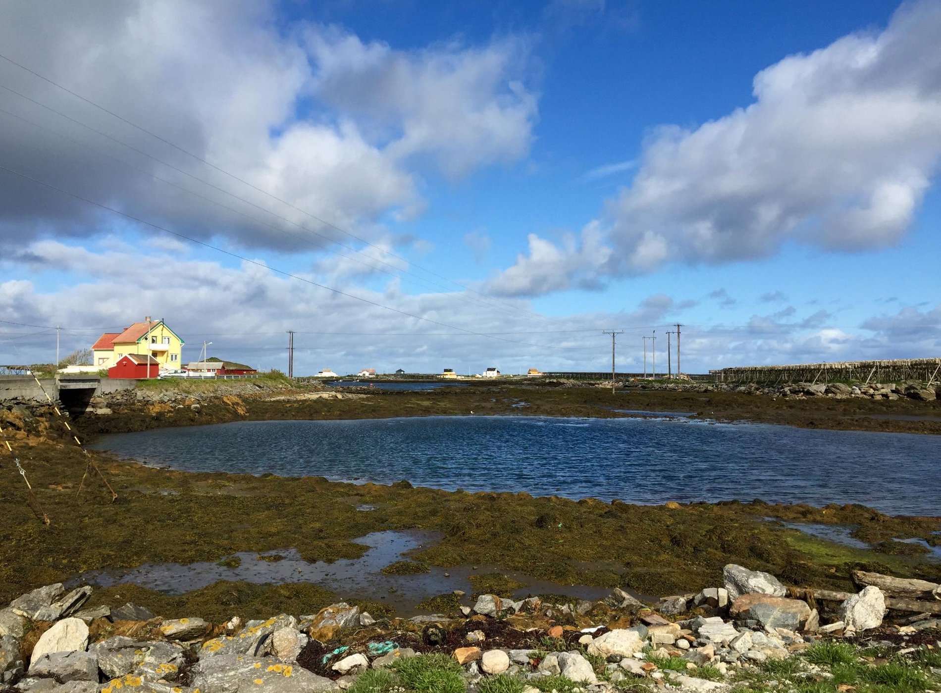 Røst Bryggehotell AS by null