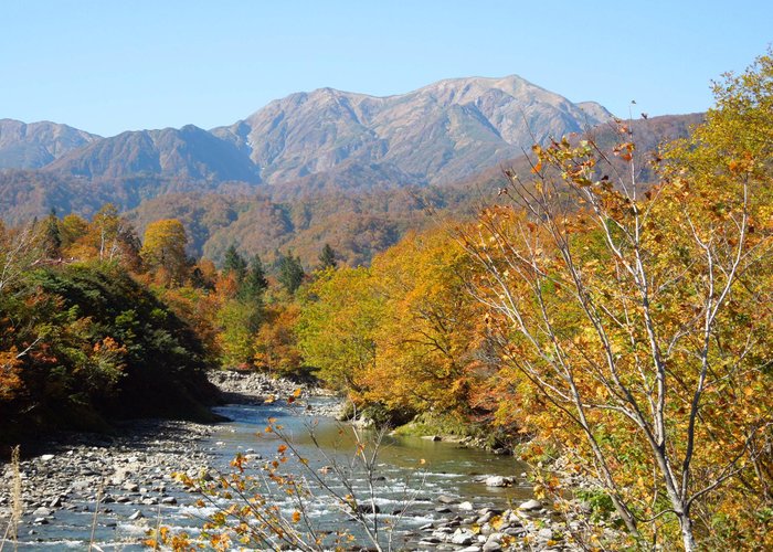 北又川石抱橋より、越後駒ヶ岳を臨む