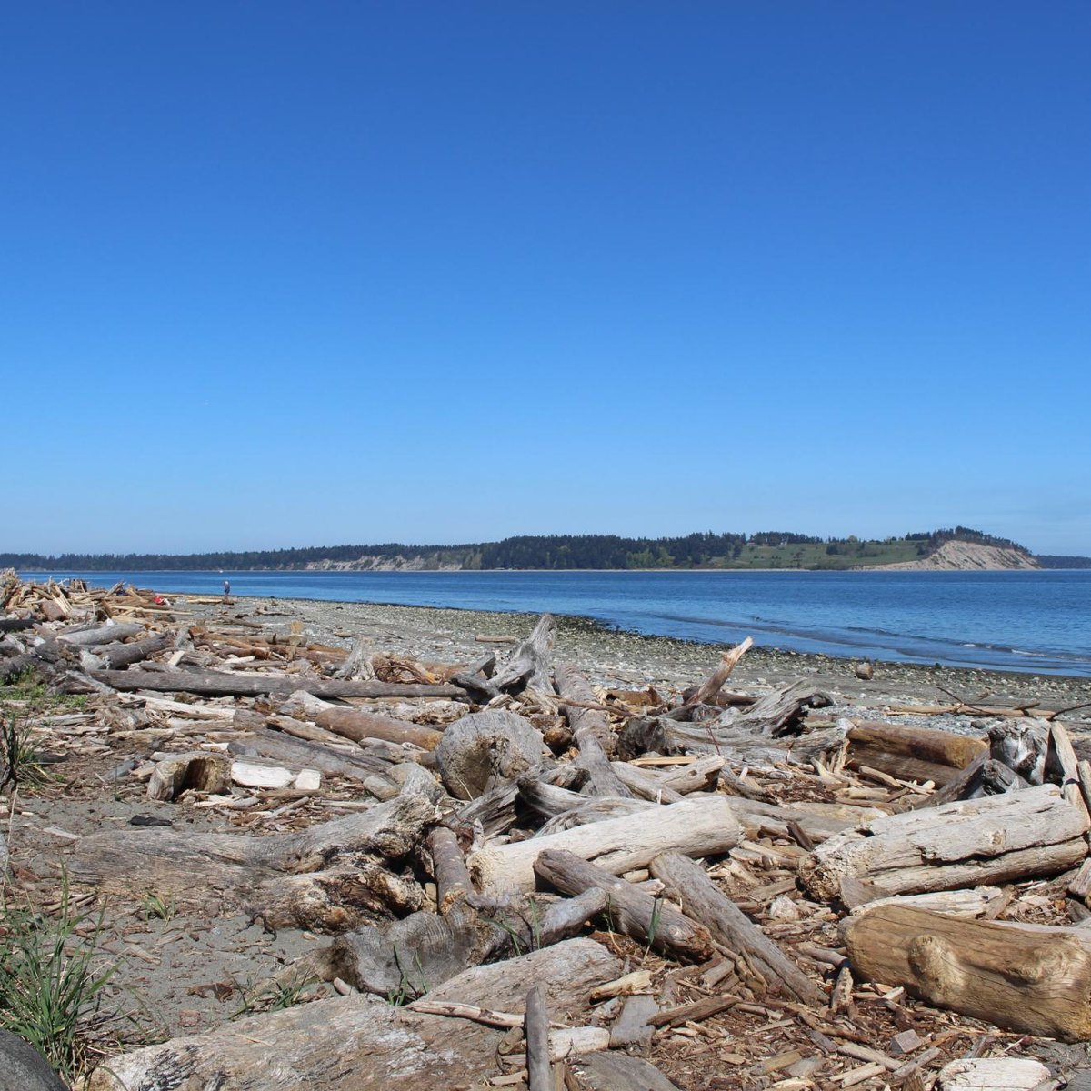 Island View Beach Regional Park Campground (Central Saanich) - 2022 All ...