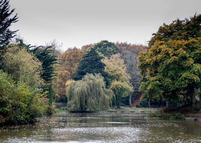 A view of the Lower Lake